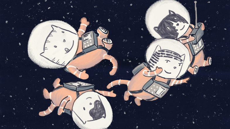 Catstronauts Covers Revealed!