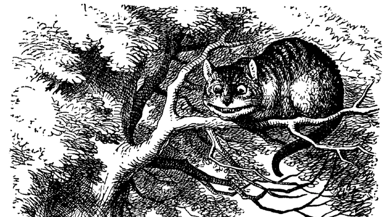 Picture This: 10 Great Illustrated Novels