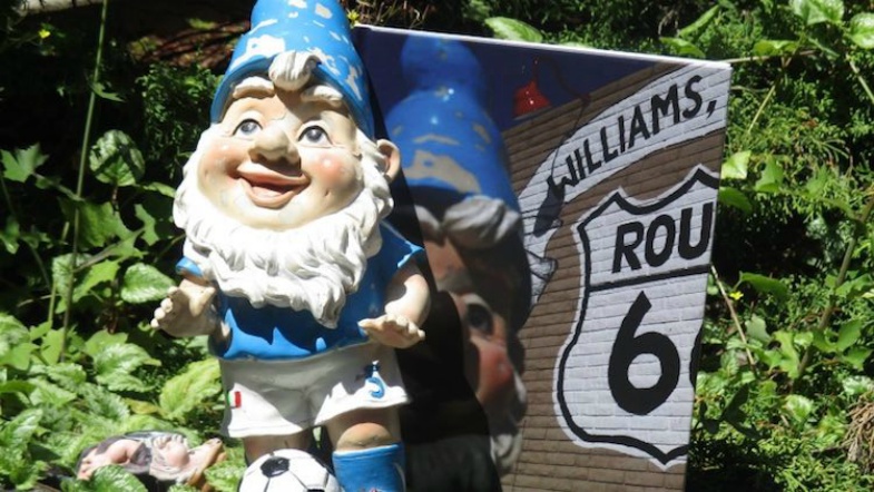Stolen Gnome Returns Home with Travelogue