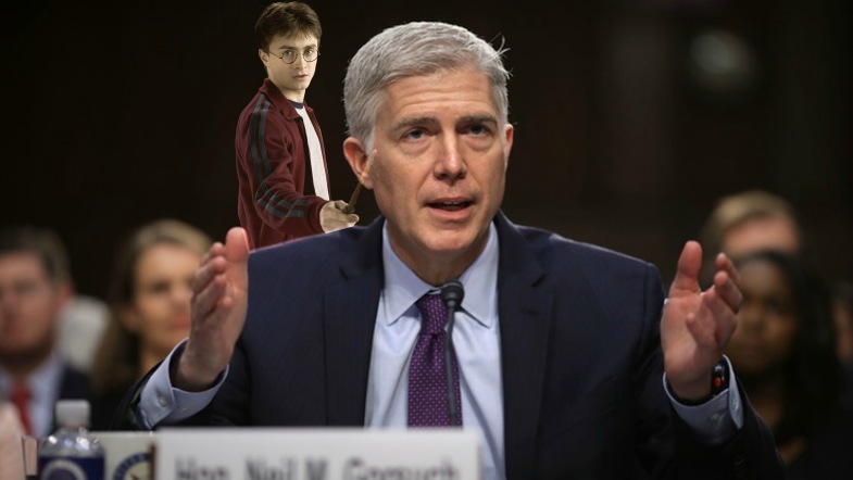 Harry Potter Sneaks Into Supreme Court Hearing