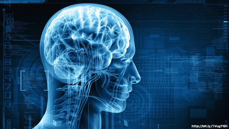 Science Explains How Our Brains Process Metaphors