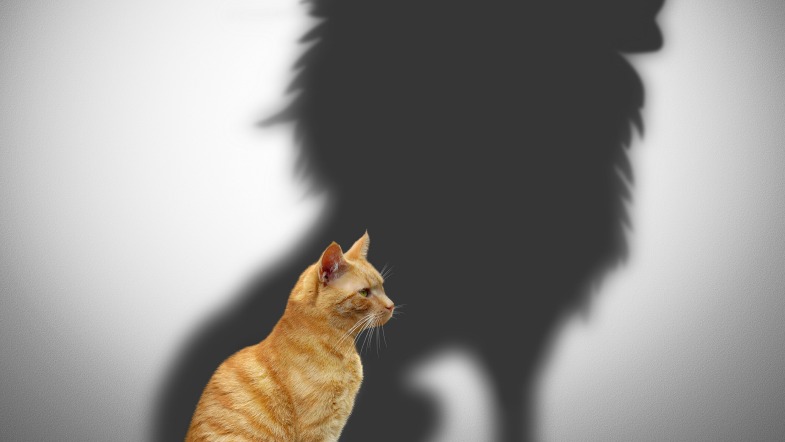 12 Quotes to Inspire Bravery