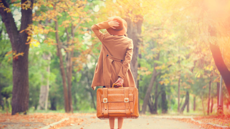 Female Authors and the Travel Novel