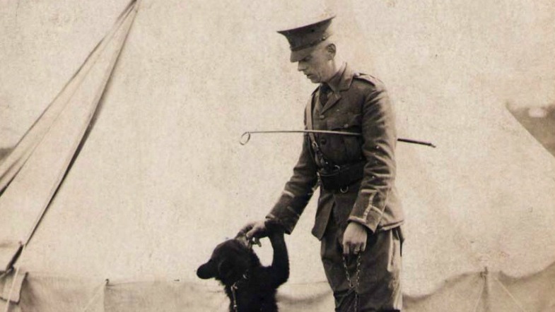 The Real Bear Behind Winnie-the-Pooh