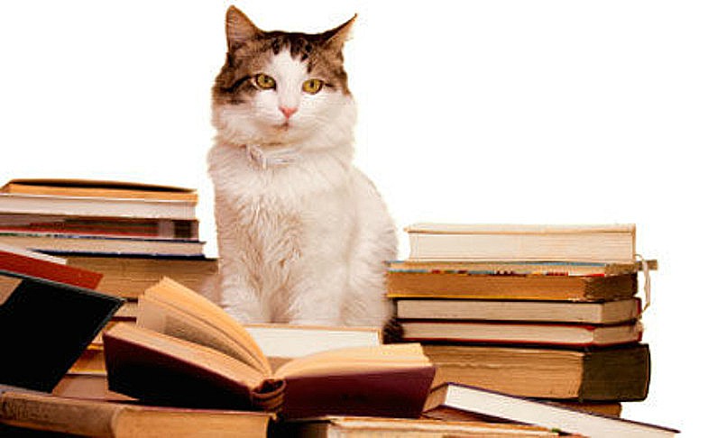 Study Finds Readers Are Kind and Understanding