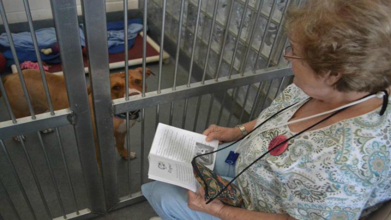 Woman Reads Books to Soothe Shelter Dogs