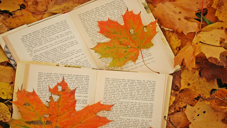 Image of a book on a leaf-covered floor.