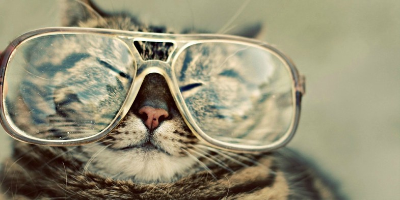 hipsters