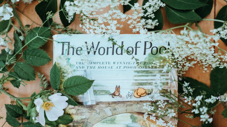 the world of pooh (winnie the pooh)