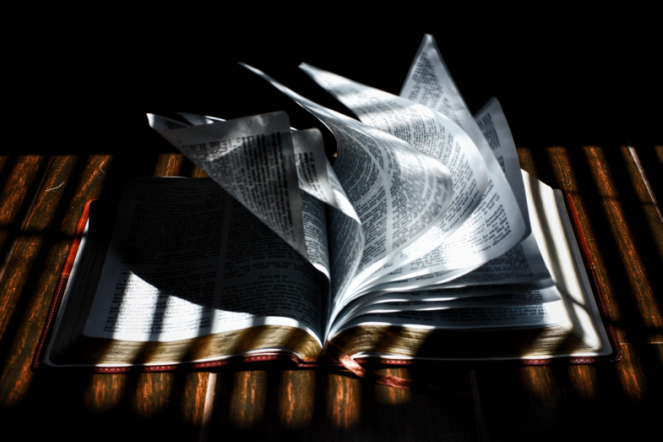 These Books We LOVE Almost Didn’t Exist