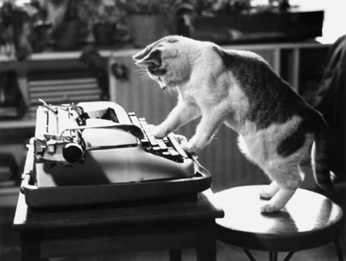 This Nineteenth Century Kitty Pamphlet Will Rock Your World