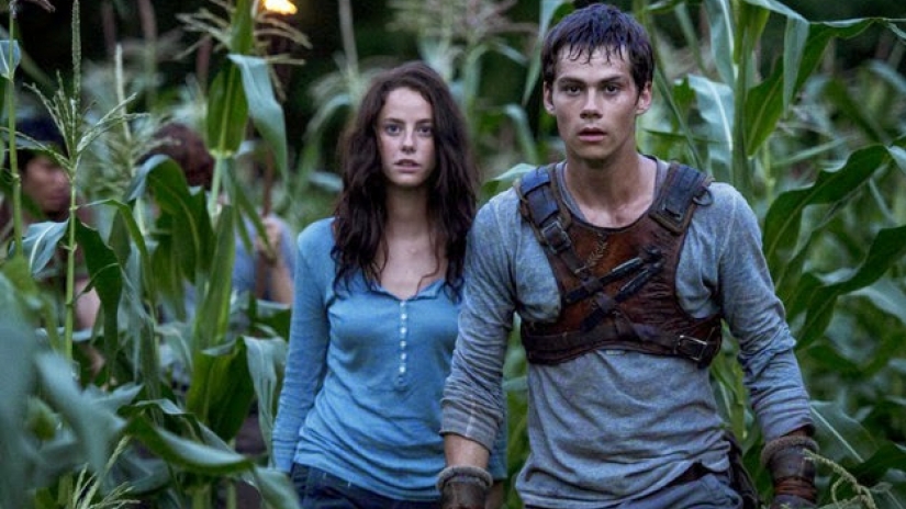 Maze Runner