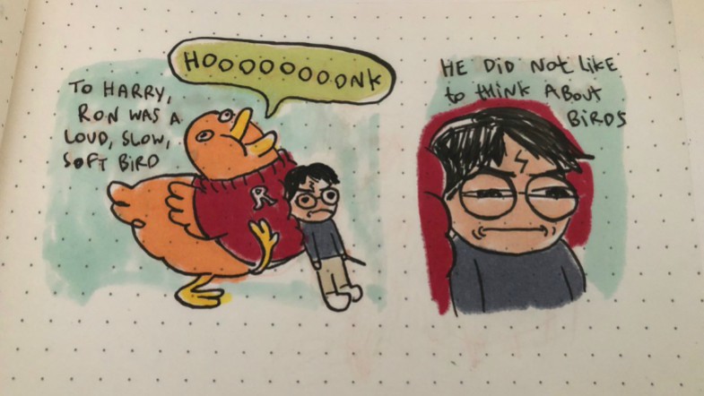 He did not like to think about birds