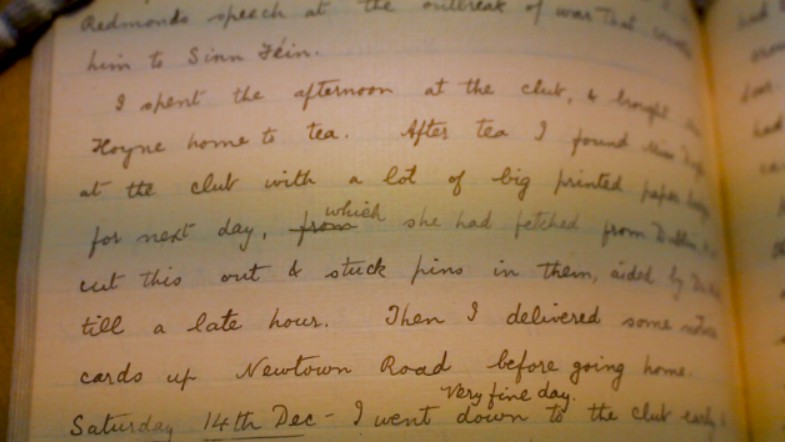 diary excerpt