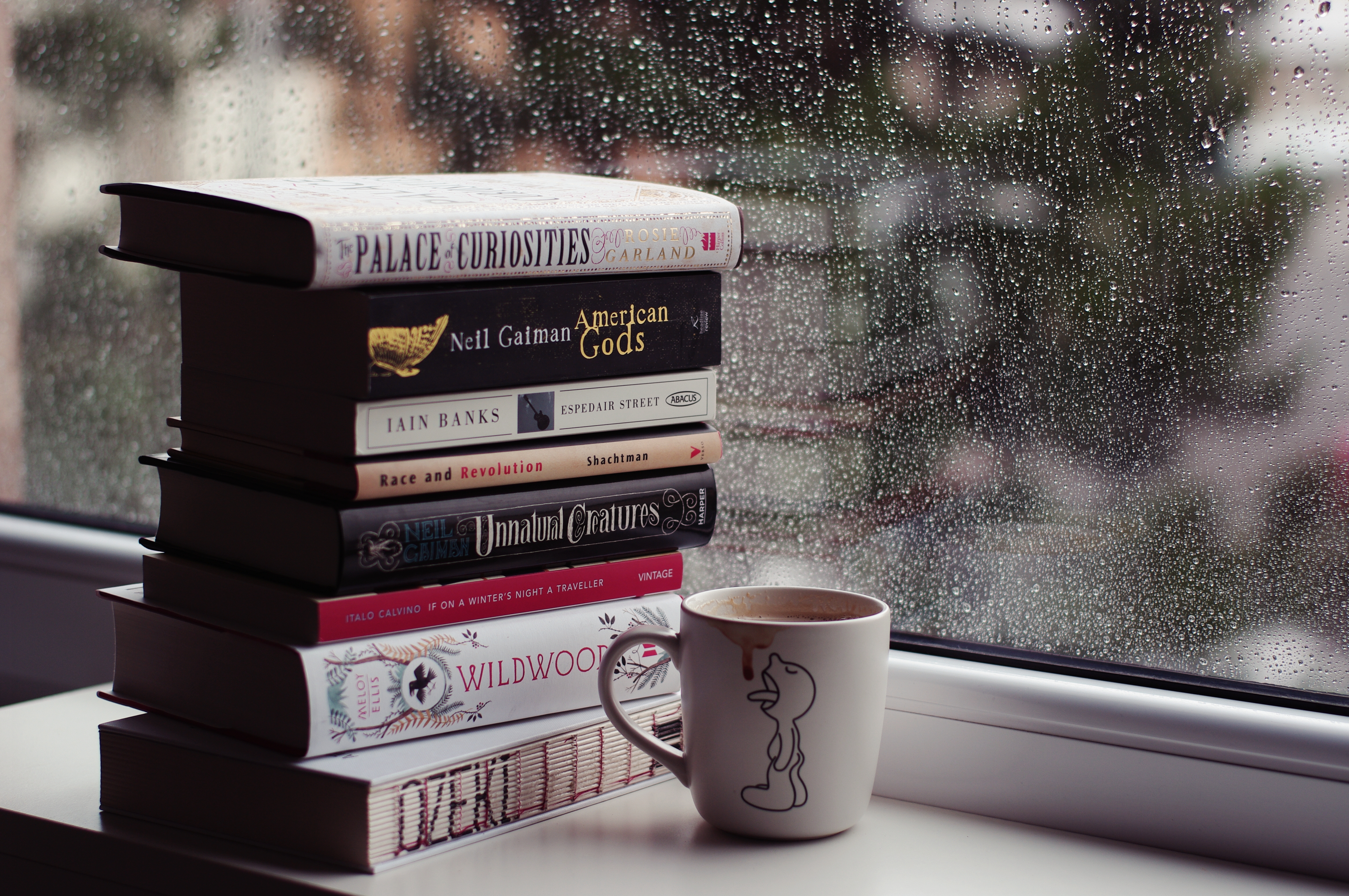 Rainy days and books