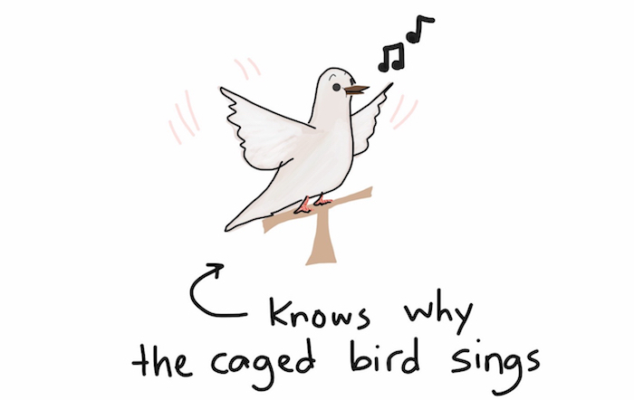 Check Out These Punny Literary Pet Names!
