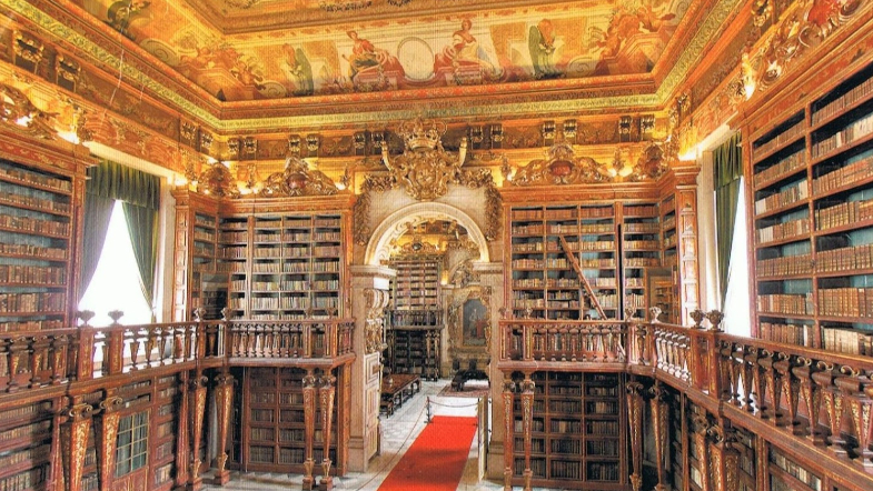 This Portuguese Library Has A Very Interesting Way Of Protecting Its Books: Bats