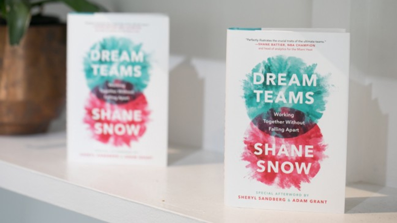 How to Write The Book of Your Dreams: An Outrageously Detailed Guide