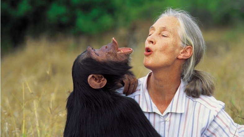 Jane Goodall