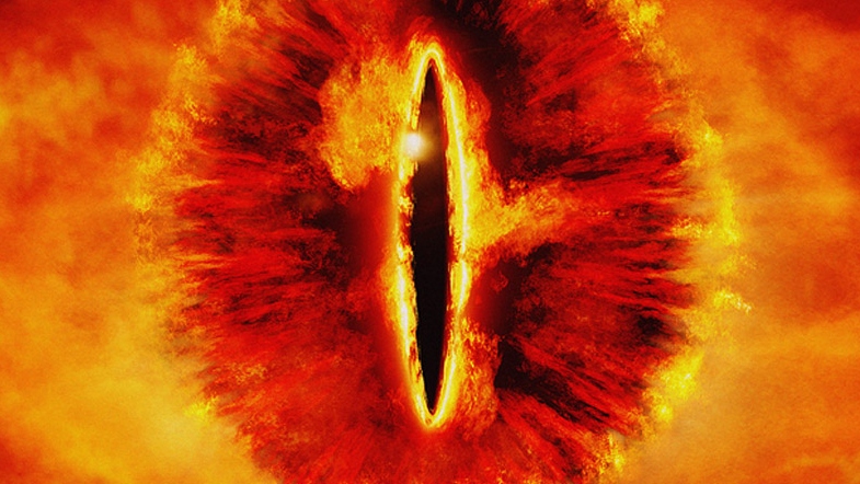 The eye