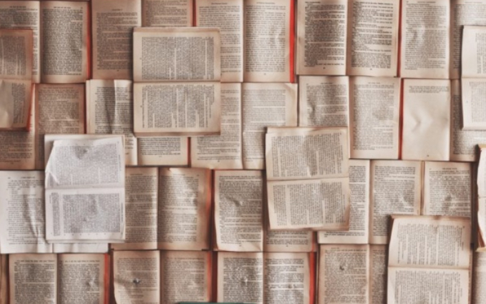Five Books Written by New Latinx Writers That Everyone Should Be Reading