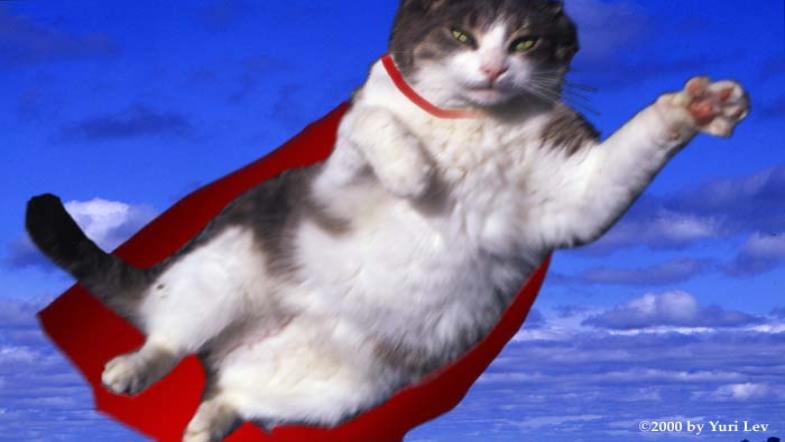 Supercat
