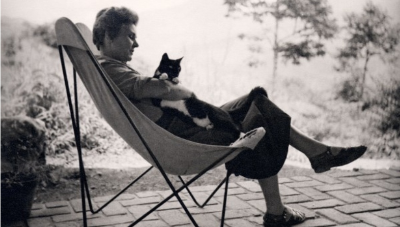 10 Famous Authors and Their Feline Muses