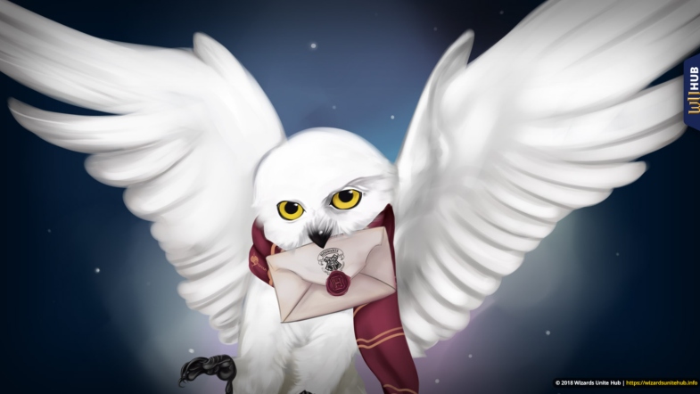 hedwig w letter