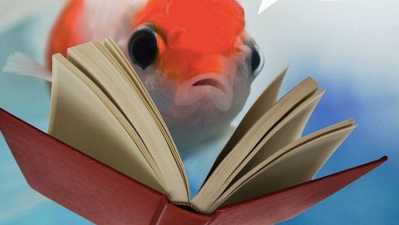 World’s Largest Publishers Targeted by Unusual Phishing Scam