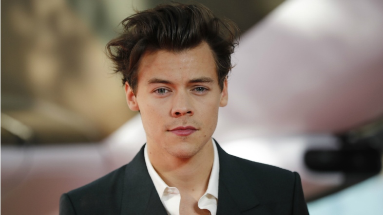 Harry Styles Spotted Reading Up Ahead of Susan Sontag-Themed Met Gala