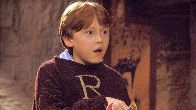 Harry Potter sweater
