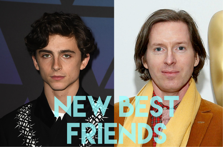 Timothée Chalamet to Head Cast of Wes Anderson’s ‘Love Letter to Journalists’