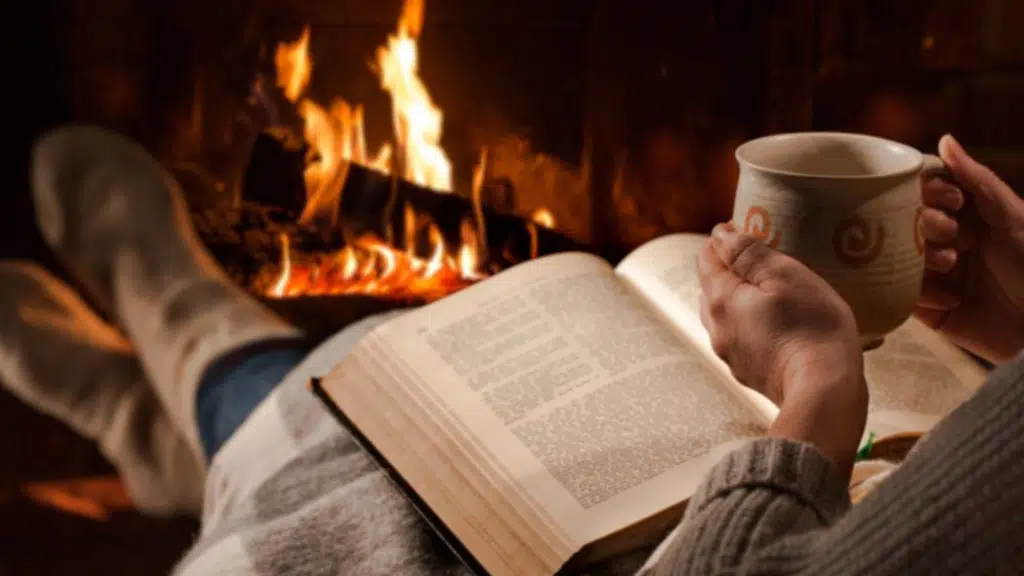 How to Read in Comfort When Everything Around You Is Chaos
