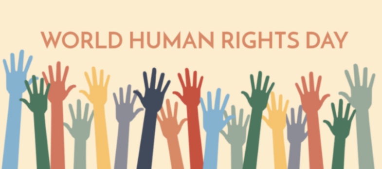 6 Amazing Book Recommendations for About Human Rights
