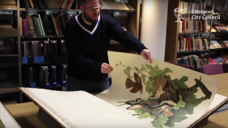 audubon bird book