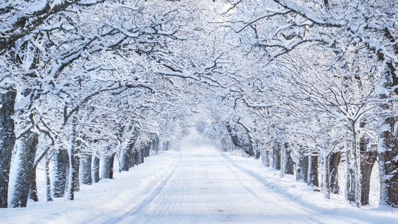 10 Enchanting Literary Quotes to Keep You Warm This Winter