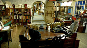 The rare bookstore, featuring the bookstore cat