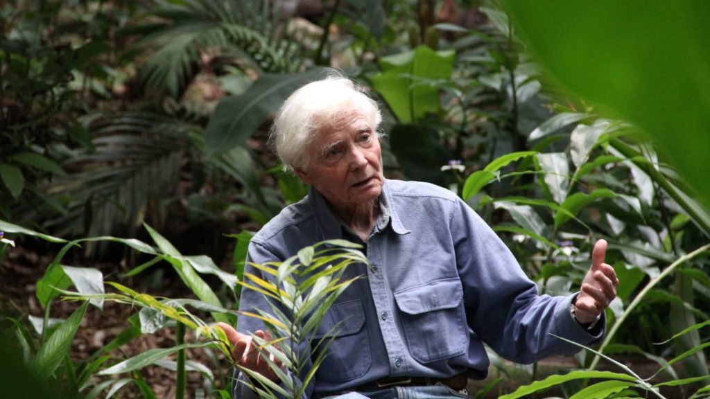W.S. Merwin in his garden