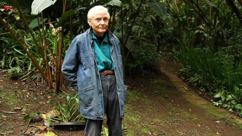 American Poet W.S. Merwin Has Died at 91