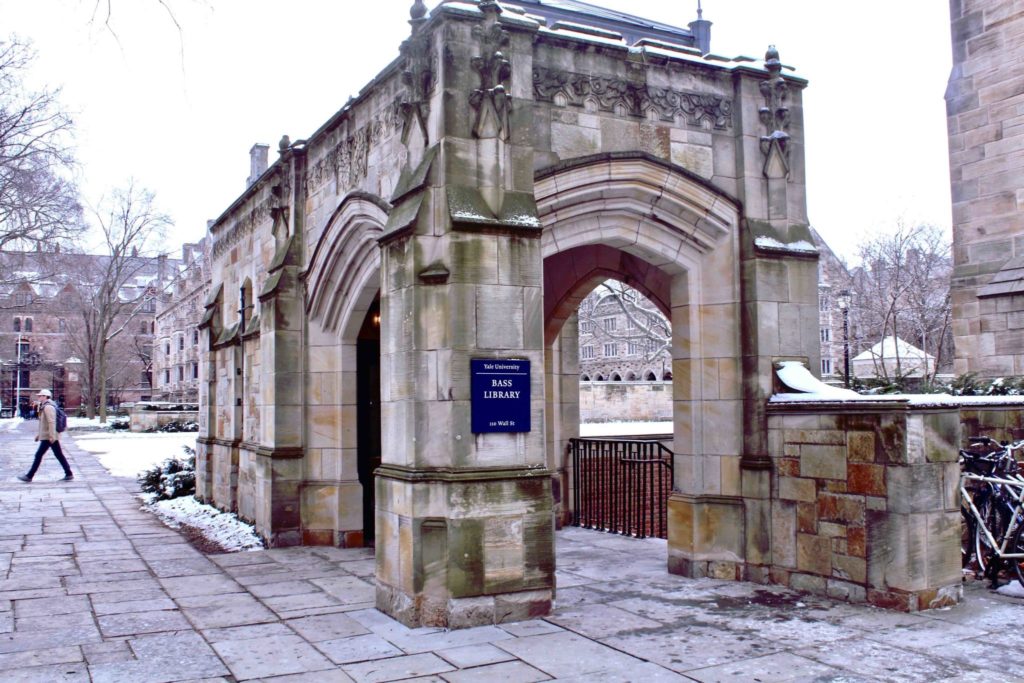 Uproar as Yale Library Announces Plans to Cut 90,000 Books from Circulation
