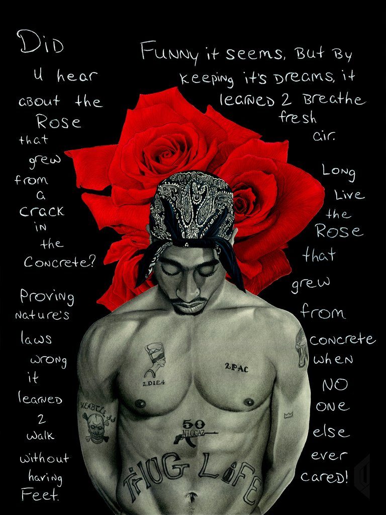 Tupac Shakur Rose that Grew From Concrete