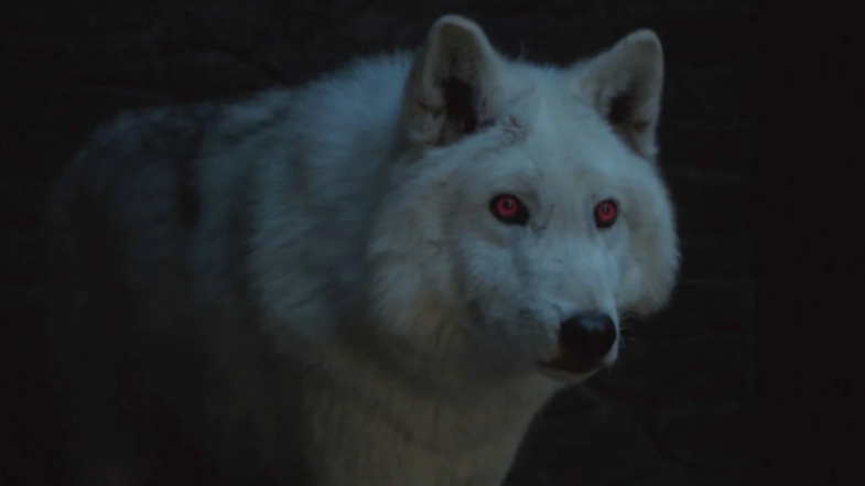‘Game of Thrones’ Beloved Ghost Is Alive?!