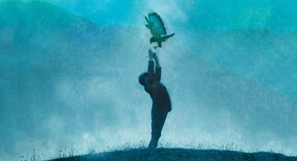 A young boy catching a falcon as it flies down to him