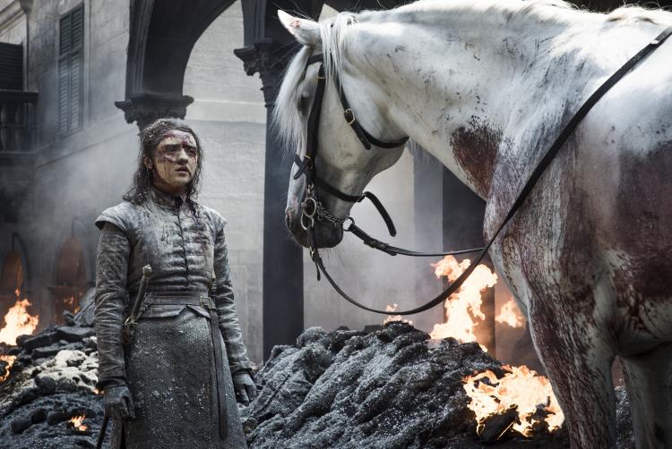 Arya and a horse