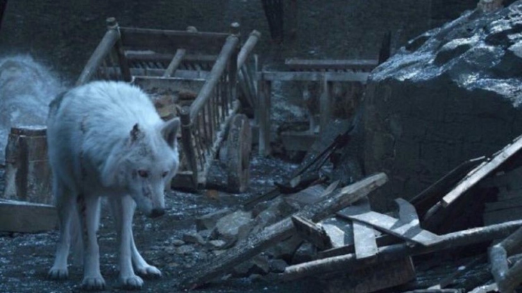 What Does It Mean That Jon Ghosted His Beloved Ghost?!