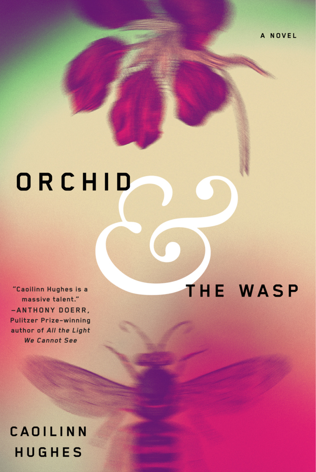 orchid&thewasp