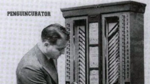 'Penguincubator' book vending machine