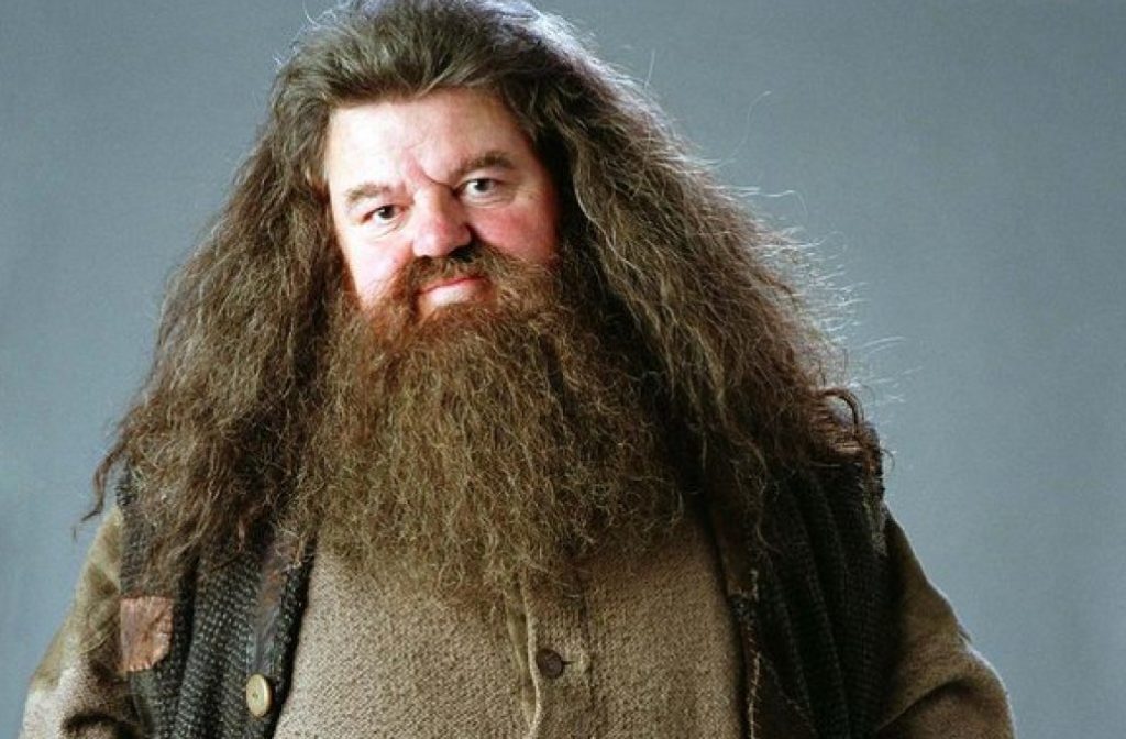 The towering figure of Rubeus Hagrid clad in furs 