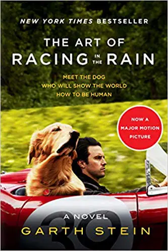 The art of Racing in the Rain