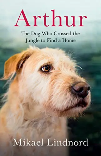 Arthur: The dog who crossed the jungle to find a home